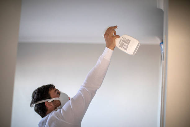 Best Post-Flood Mold Remediation in Foley, AL