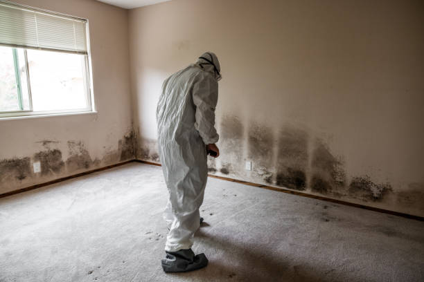 Best Residential Mold Remediation in Foley, AL